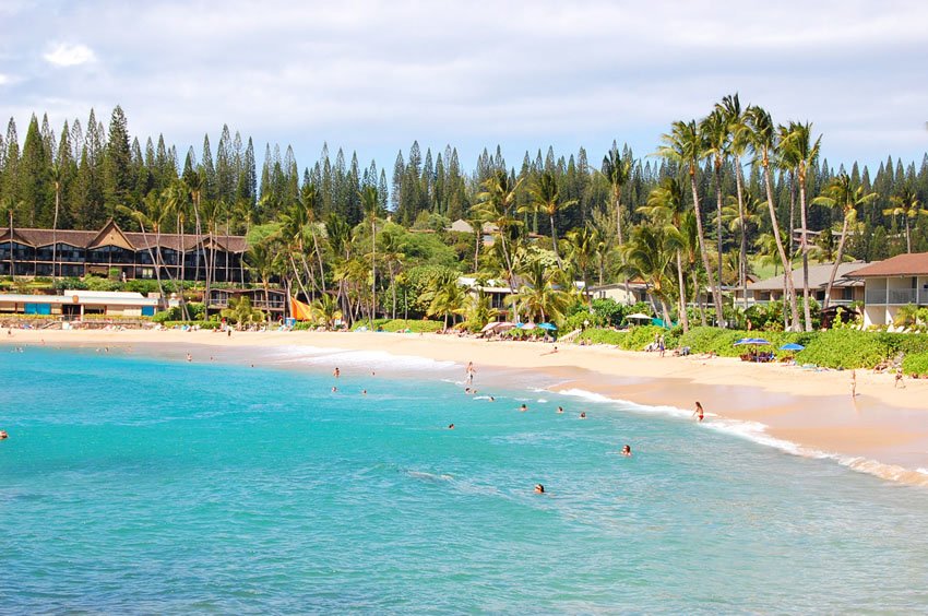 Bay is backed by palms and pine trees