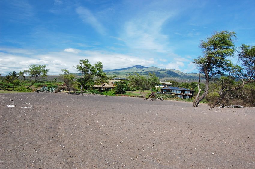 One'uli Beach backshore