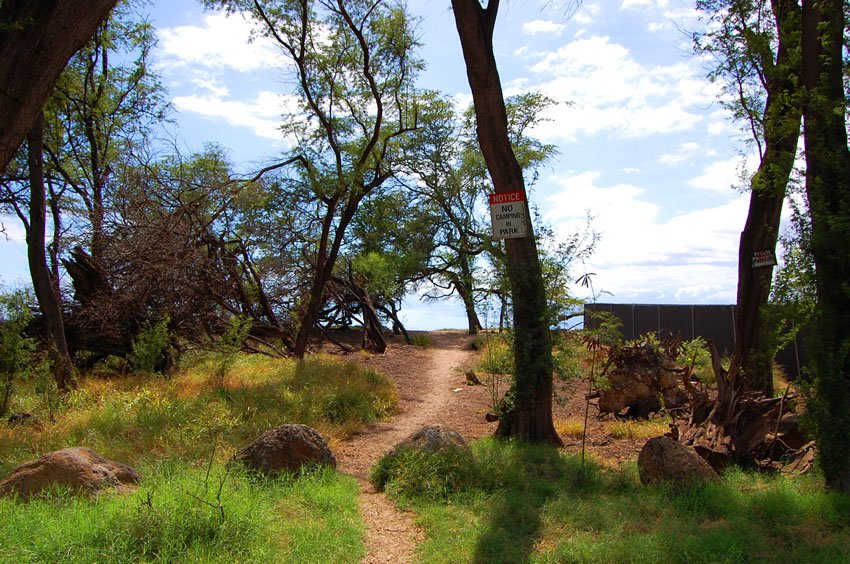 Beach path