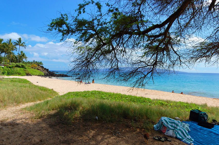 Palauea Beach