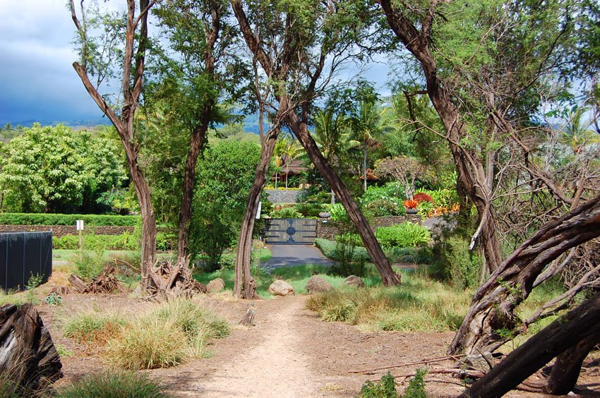 Beach path