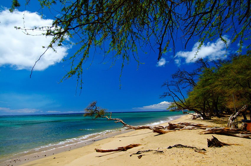 Papalaua Beach Park