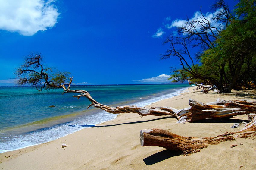 Scenic Maui beach