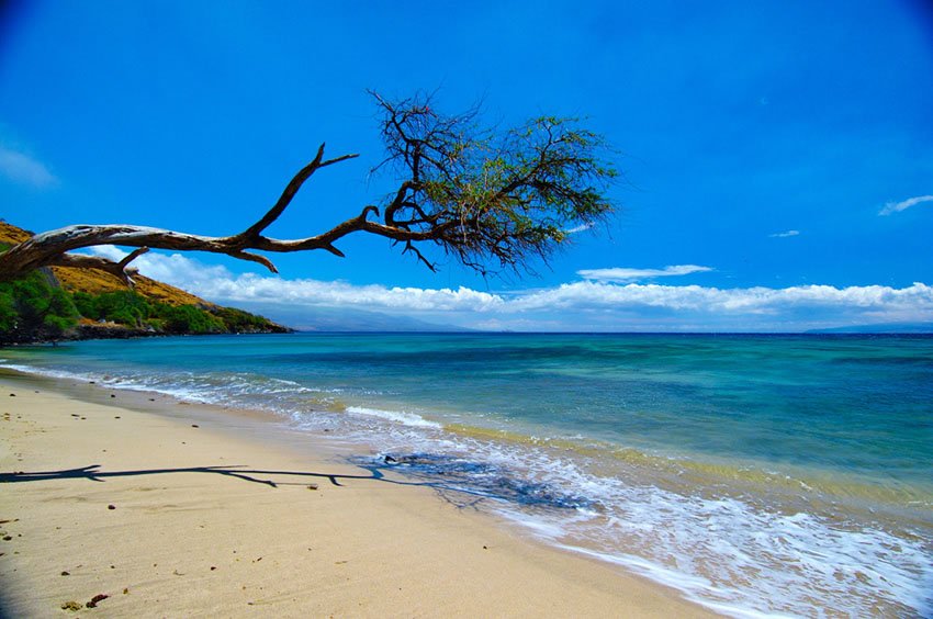 Papalaua Beach Park on Maui