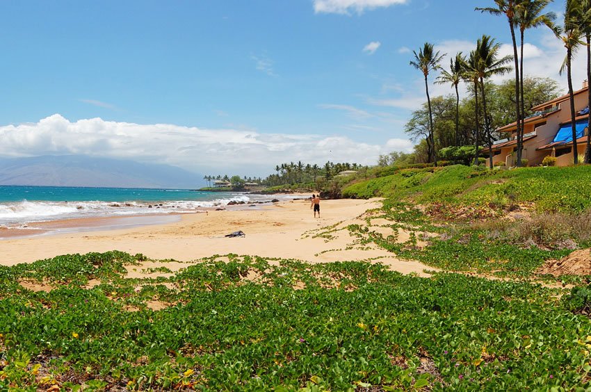 Beach area in front of Makena Surf