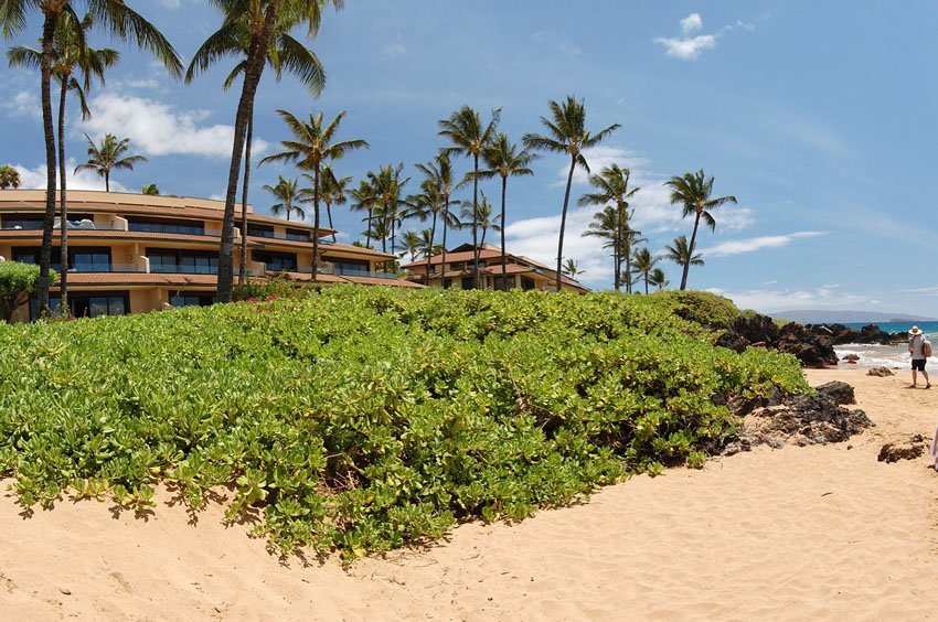 Makena Surf Hotel