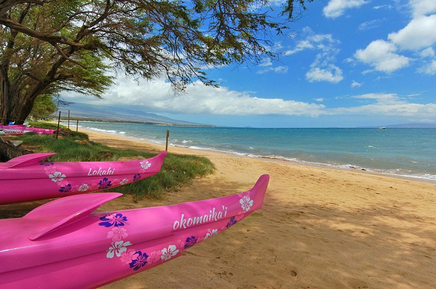 Sugar Beach canoes Maui