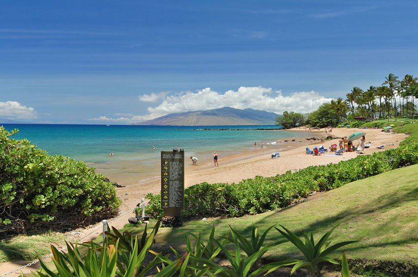 Beach in Wailea