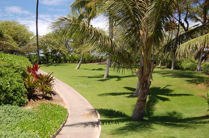 Beachfront path to Mokapu Beach