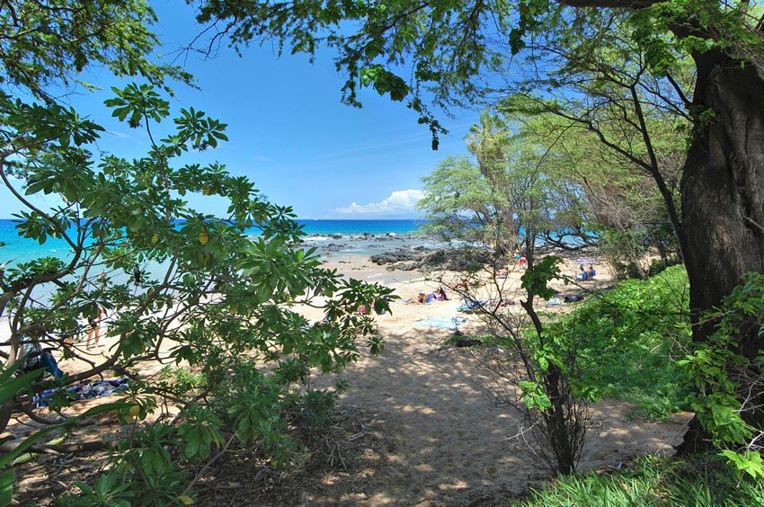 Shady area near Mokapu Beach