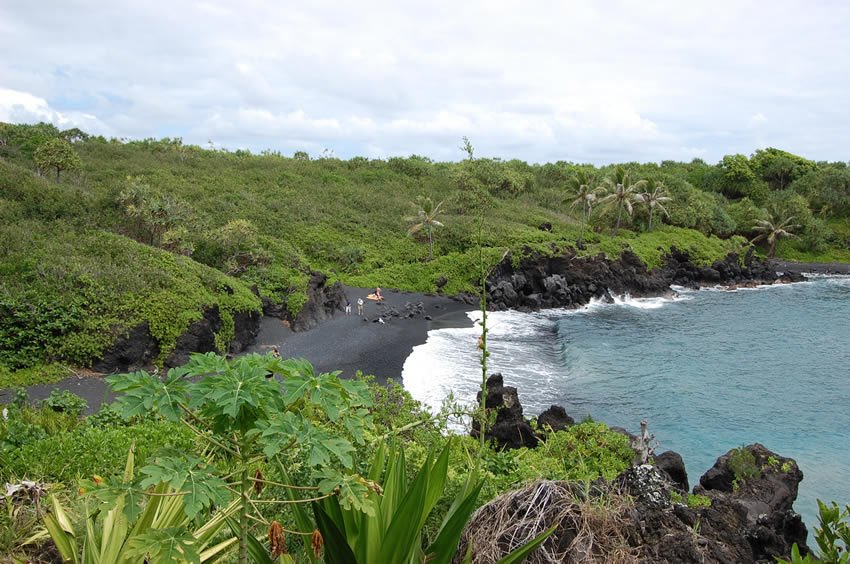 Surrounded by lush vegetation