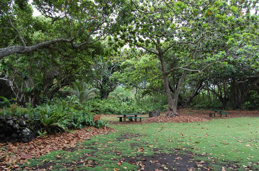 Waianapanapa park area