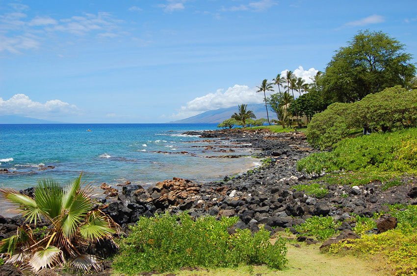 Area between Ulua and Wailea Beach