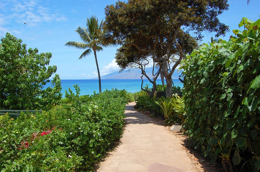 Beach path