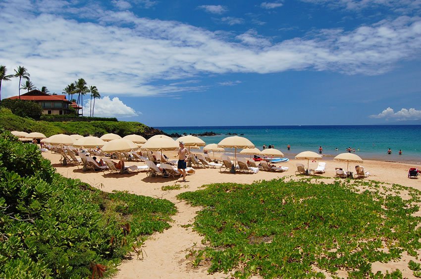 Beach umbrellas