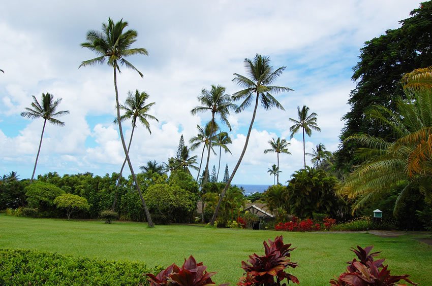 Hana hotel grounds