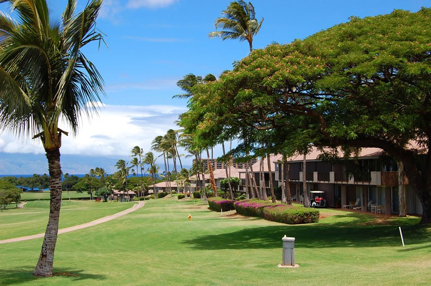 Condos with golf view