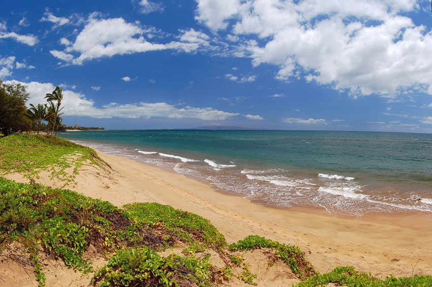 Beach in Kihei