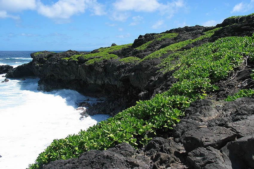 Kipahulu coastline