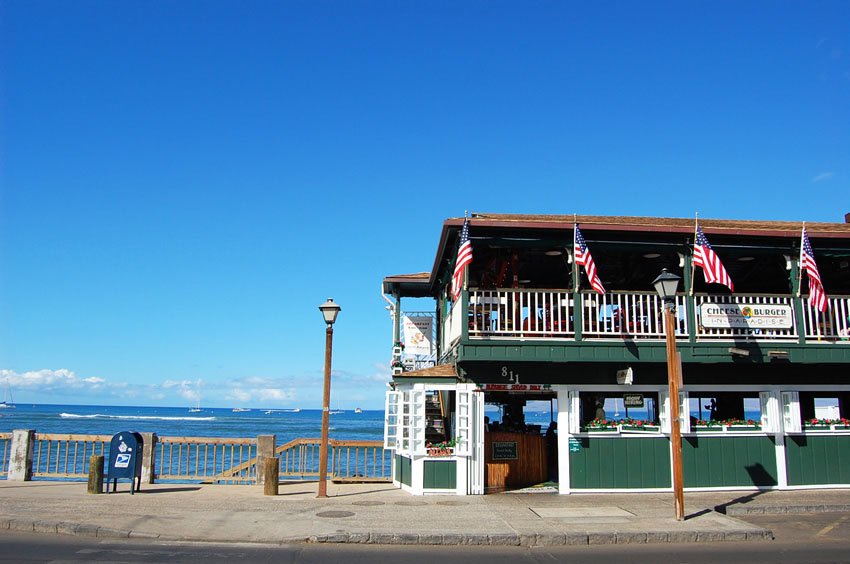 Cheeseburger in Paradise restaurant