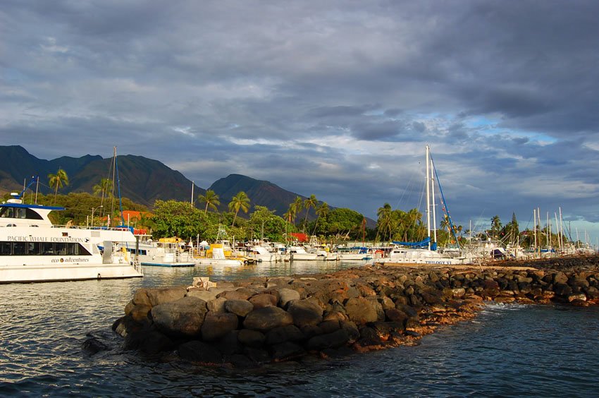 Lahaina Harbor