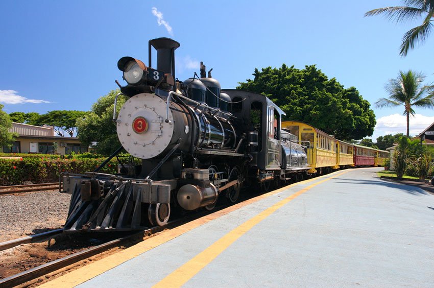 Sugar Cane Train