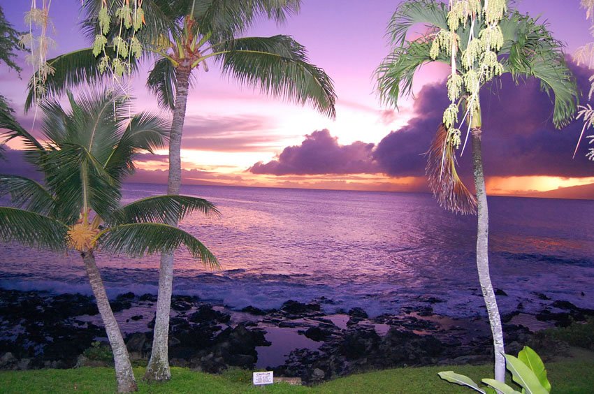 Napili sunset