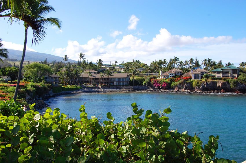 Honoapiilani Bay during the day