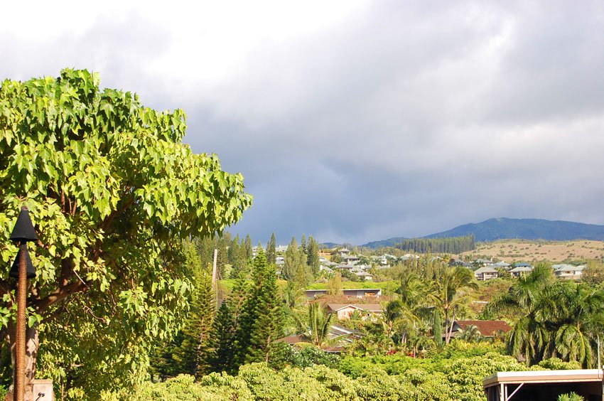 Napili area