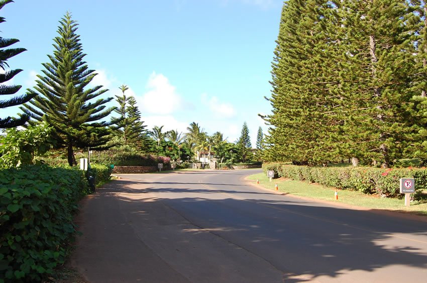 Napili road