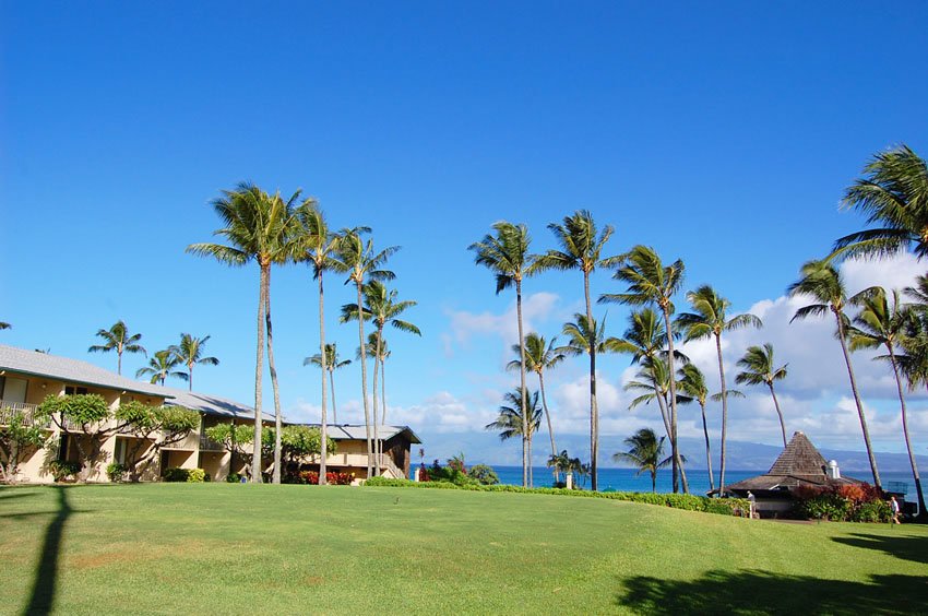 Napili Shores condo hotel