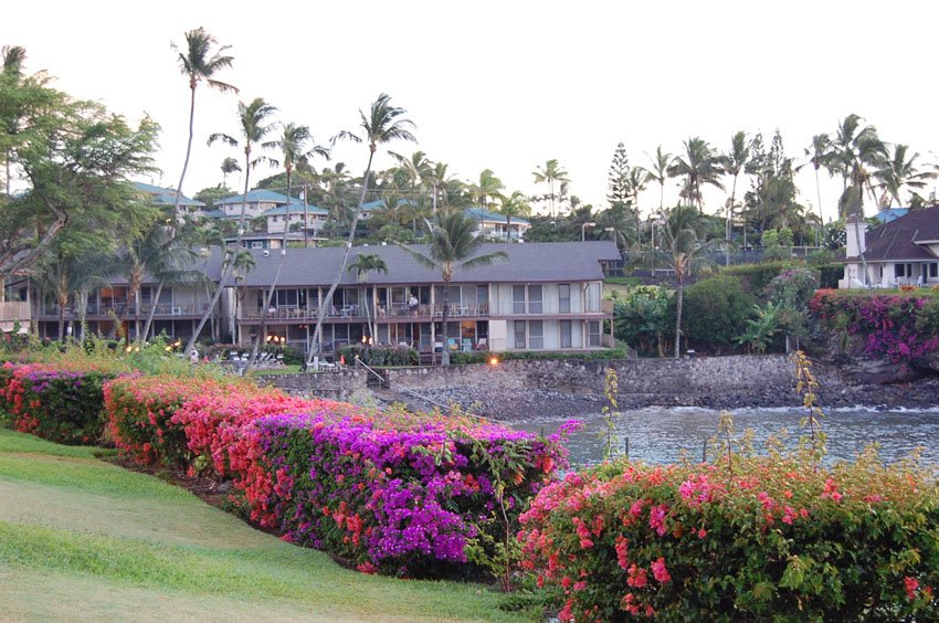 Overlooking Honoapiilani Cove