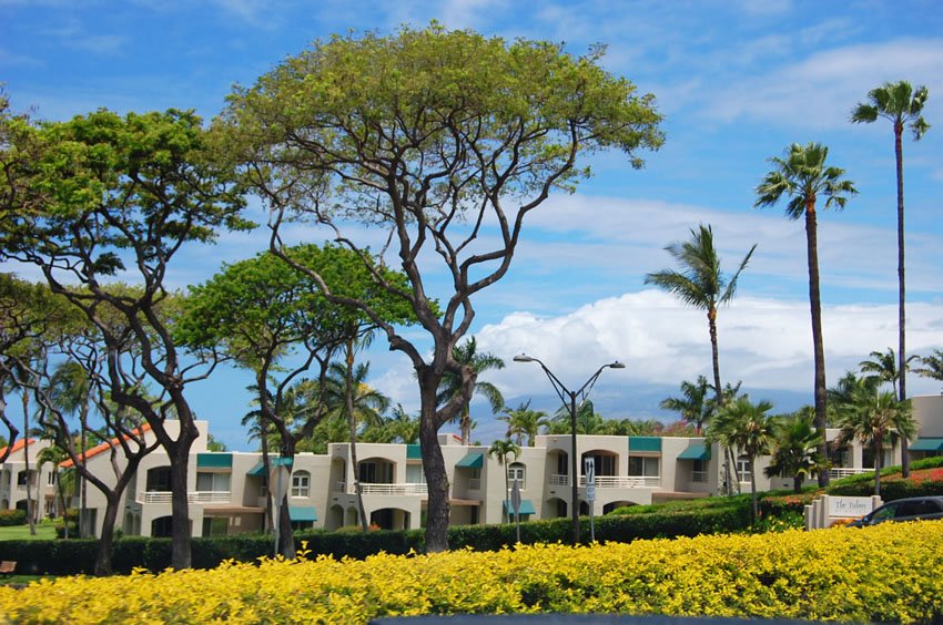 Palms at Wailea