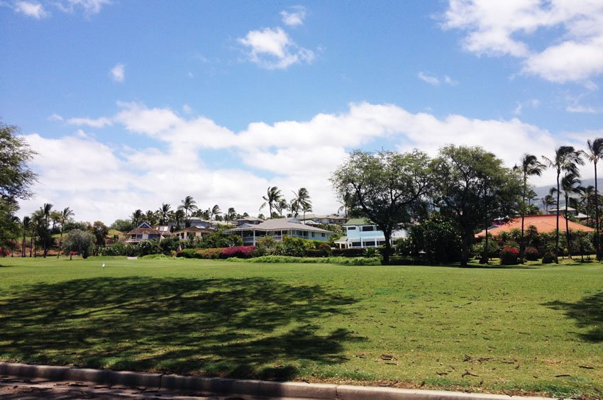 Wailea town