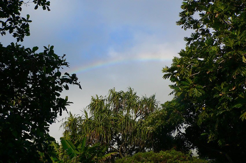 Beautiful rainbow