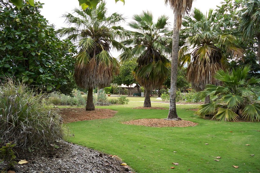 Garden scenery