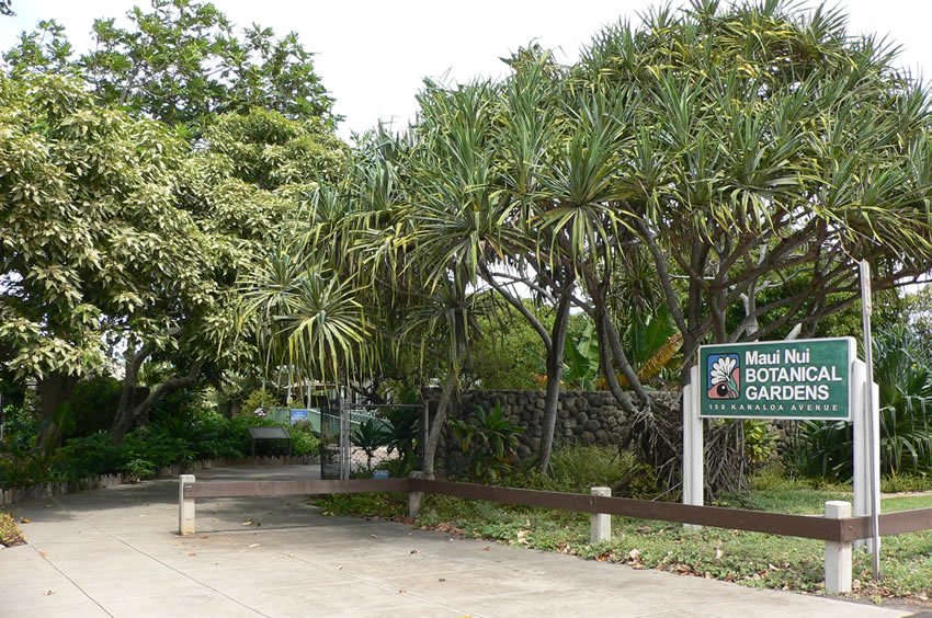 Maui Nui Botanical Gardens