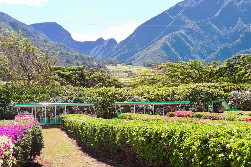 Maui Tropical Plantation