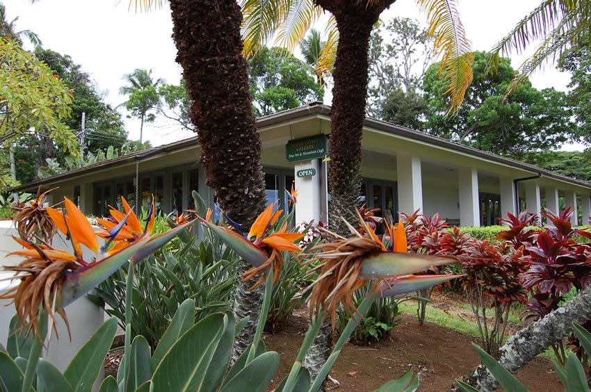 Hawaii flora in front of the gallery