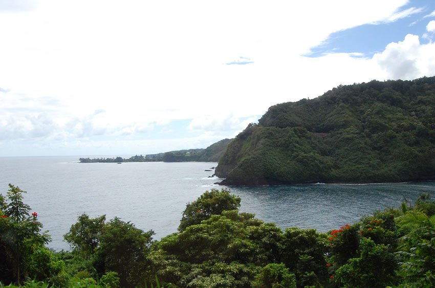 Scenery along the Hana Highway