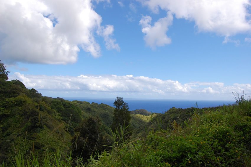 Scenic view on Hana Highway