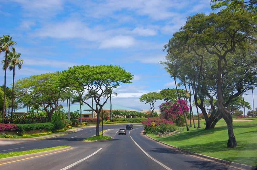 Driving in Wailea