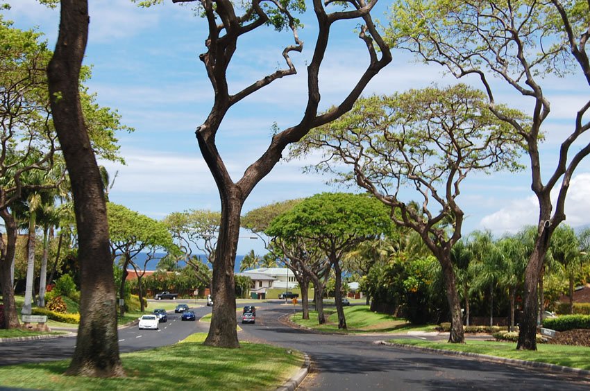 Driving to Kihei