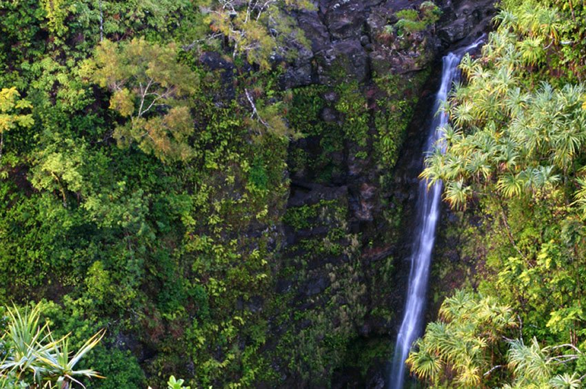 Lower Puohokamoa Falls