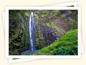 Waimoku Falls