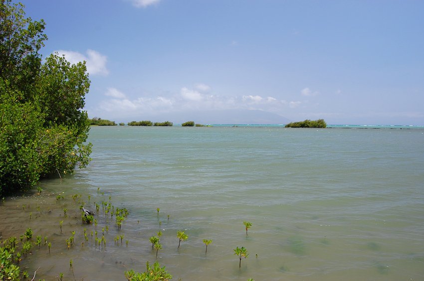 Ni'aupala Fishpond