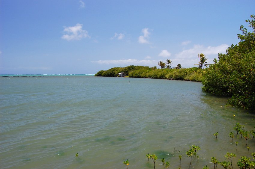 Ni'aupala Fishpond on Molokai