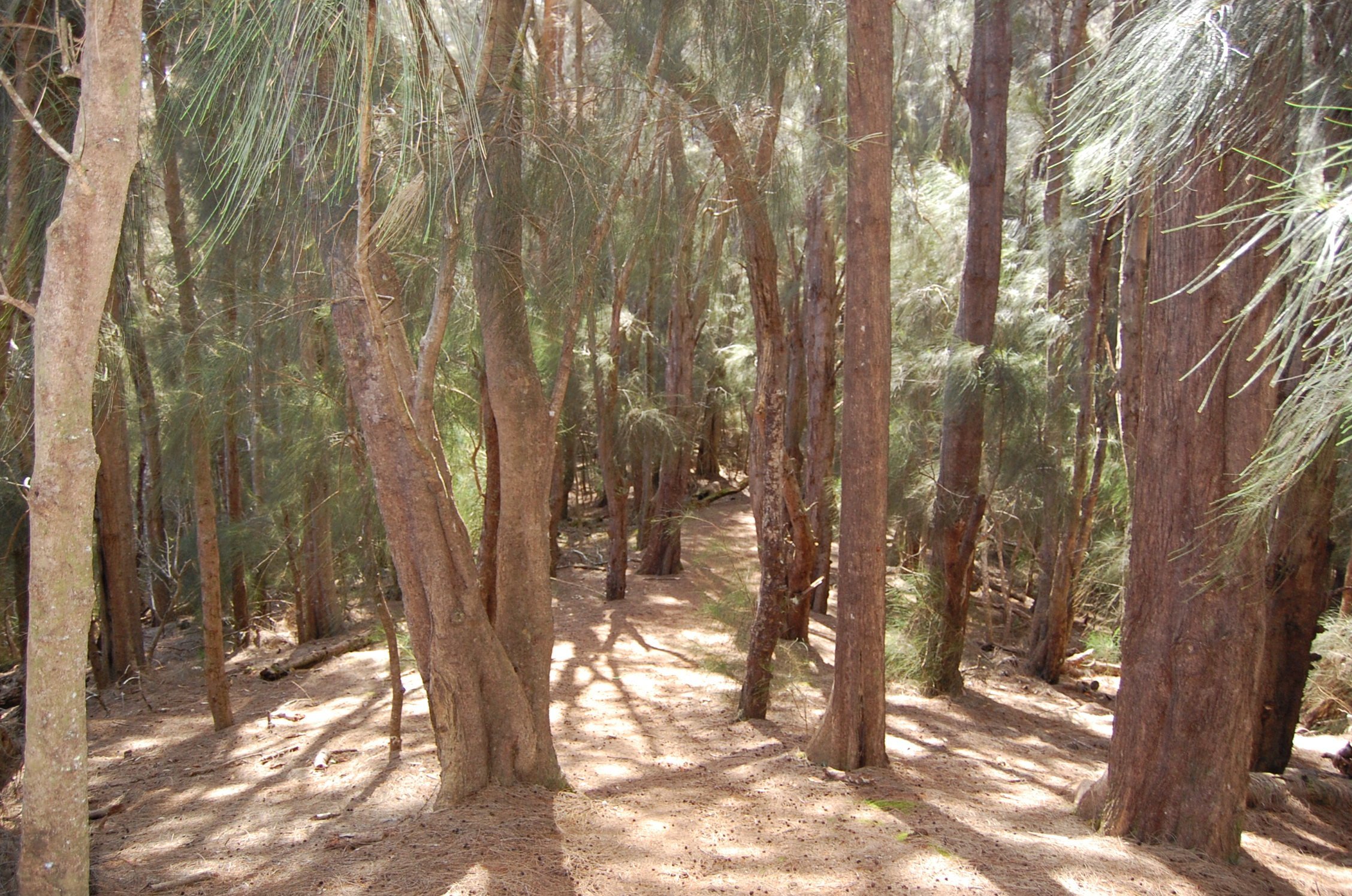 Pala'au State Park