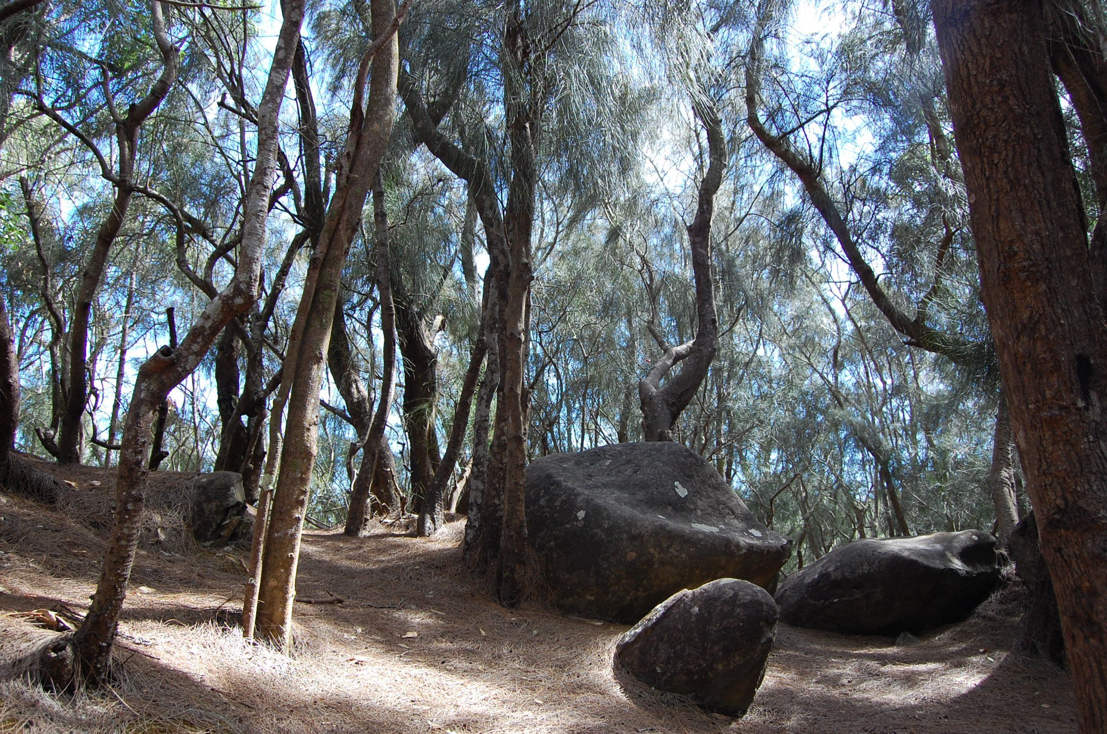 Molokai sacred stones