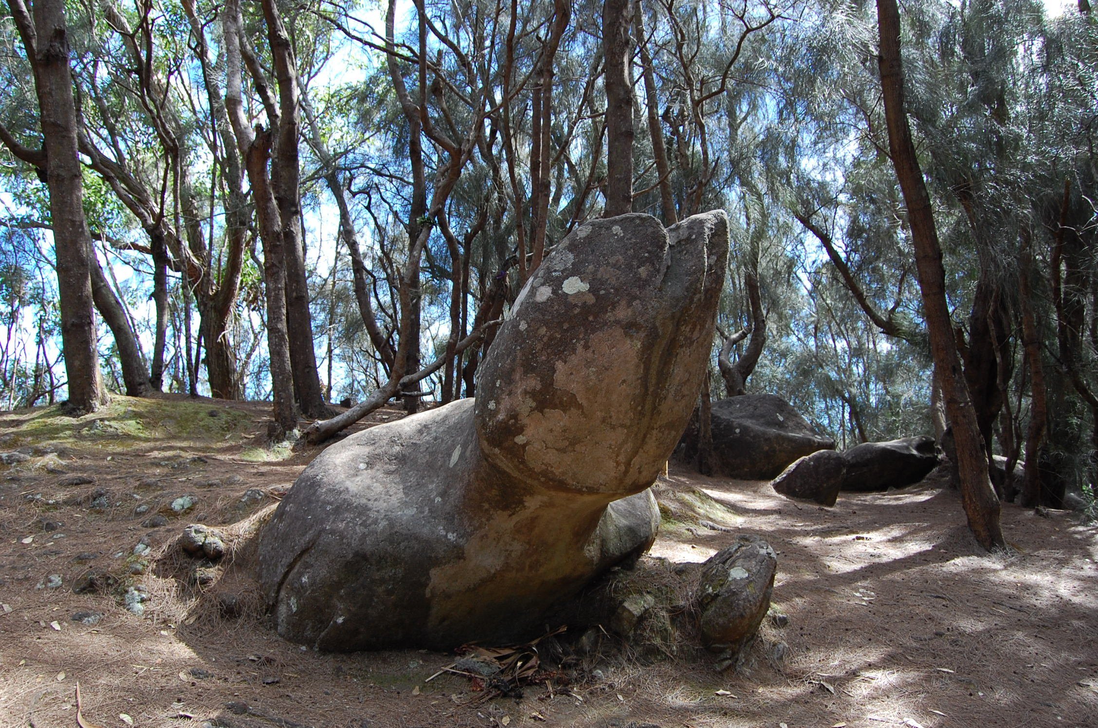 Fertility Rock on Molokai